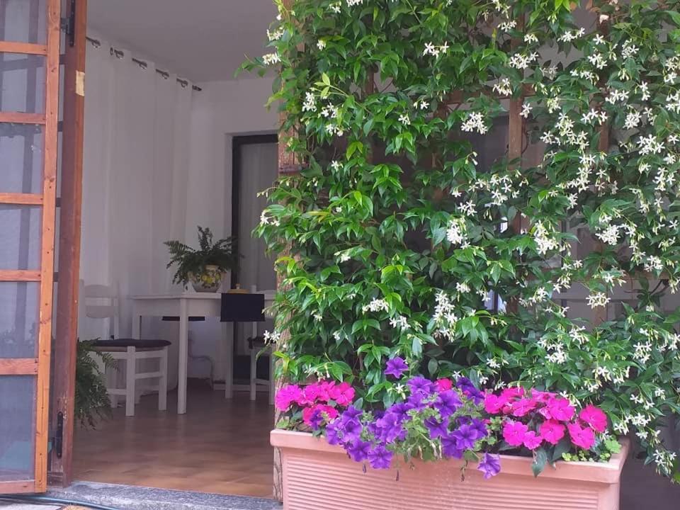 Alla Ghigliotta Viverone Luaran gambar